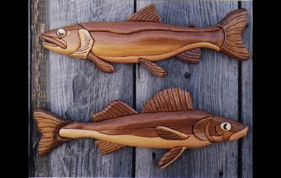 Walleye