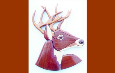 White Tail